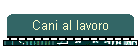 Cani al lavoro