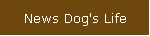 News Dog's Life