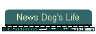 News Dog's Life