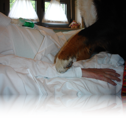 Pupi hai dato tanto a chi aveva bisogno di amore...